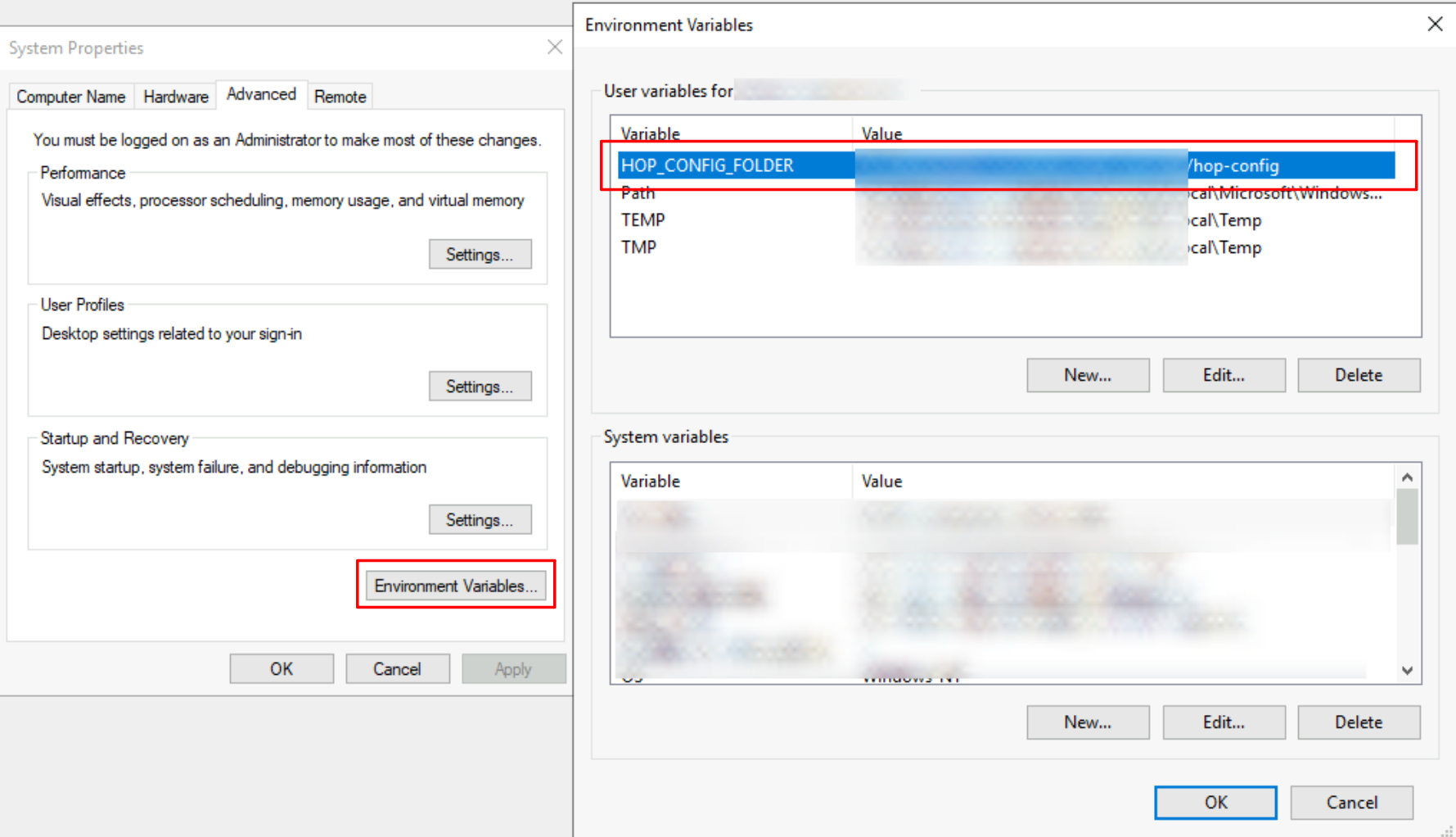 Set environment variables